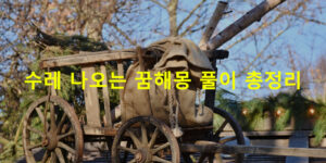 수레 나오는 꿈해몽 풀이 총정리