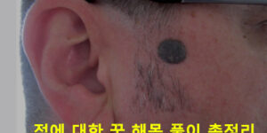 점에 대한 꿈 해몽 풀이 총정리