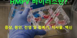 HMPV 바이러스란? 증상, 전염 및 잠복기, 치사율, 백신