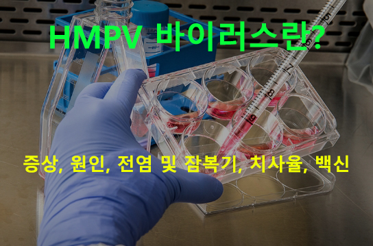 HMPV 바이러스란? 증상, 전염 및 잠복기, 치사율, 백신