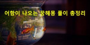 어항이 나오는 꿈해몽 풀이 총정리