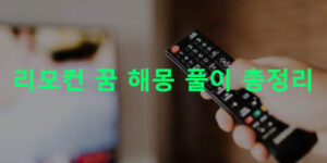 리모컨 꿈 해몽 풀이 총정리