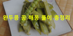 완두콩 꿈 해몽 풀이 총정리