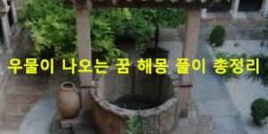 우물이 나오는 꿈 해몽 풀이 총정리