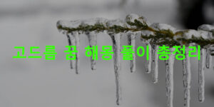 고드름 꿈 해몽 풀이 총정리