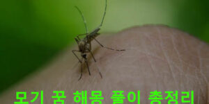 모기 꿈 해몽 풀이 총정리