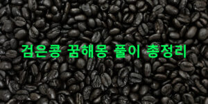 검은콩 꿈해몽 풀이 총정리