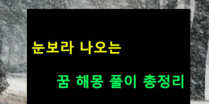 눈보라 나오는 꿈 해몽 풀이 총정리