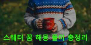 스웨터 꿈 해몽 풀이 총정리