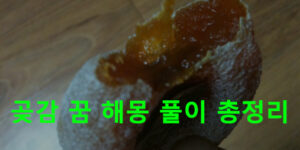 곶감 꿈 해몽 풀이 총정리