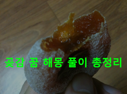 곶감 꿈 해몽 풀이 총정리