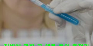 질병에 관한 꿈 해몽 풀이 총정리