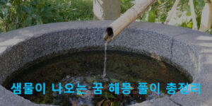 샘물이 나오는 꿈 해몽 풀이 총정리