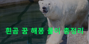 흰곰(백곰) 꿈 해몽 풀이 총정리