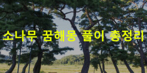 소나무 꿈해몽 풀이 총정리