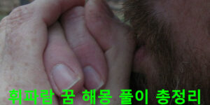 휘파람 꿈 해몽 풀이 총정리