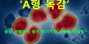 A형 독감 증상, 진행순서, 원인, 격리기간, 후유증, 예방법