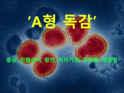 A형 독감 증상, 진행순서, 원인, 격리기간, 후유증, 예방법