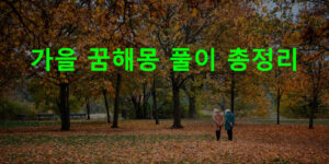 가을 꿈해몽 풀이 총정리