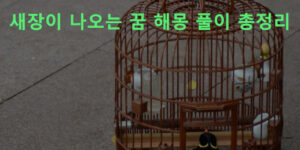 새장이 나오는 꿈 해몽 풀이 총정리