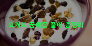 요거트 꿈해몽 풀이 총정리