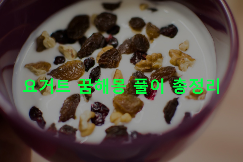 요거트 꿈해몽 풀이 총정리