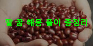 팥 꿈 해몽 풀이 총정리