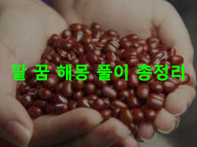 팥 꿈 해몽 풀이 총정리