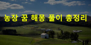 농장 꿈 해몽 풀이 총정리