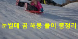 눈썰매 꿈 해몽 풀이 총정리