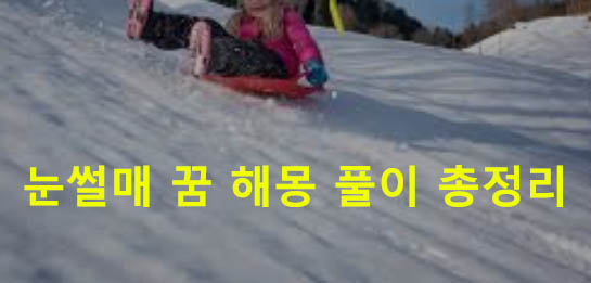 눈썰매 꿈 해몽 풀이 총정리
