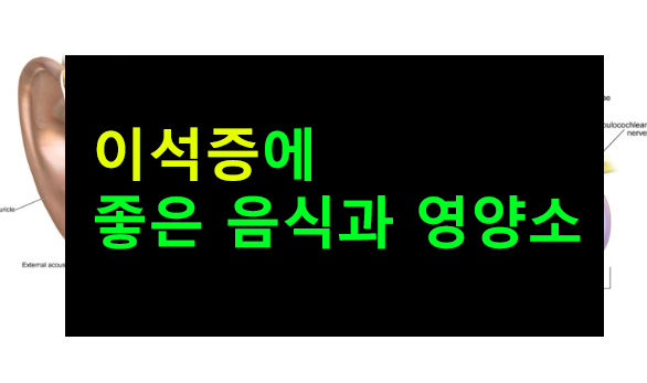 이석증에 좋은 음식과 영양소