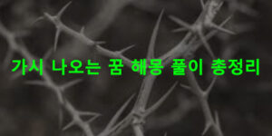 가시 나오는 꿈 해몽 풀이 총정리