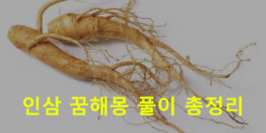 인삼 꿈해몽 풀이 총정리