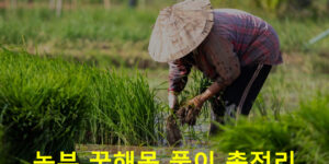 농부 꿈해몽 풀이 총정리
