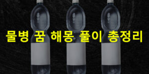 물병 꿈 해몽 풀이 총정리