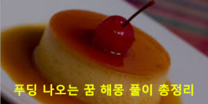 푸딩 나오는 꿈 해몽 풀이 총정리