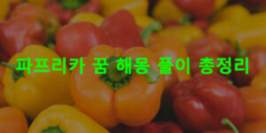 파프리카 꿈 해몽 풀이 총정리