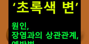 초록색 변 원인, 장염과의 상관관계, 예방법