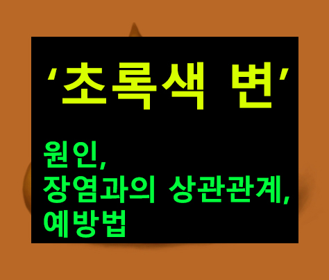초록색 변 원인, 장염과의 상관관계, 예방법