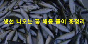 생선 나오는 꿈 해몽 풀이 총정리