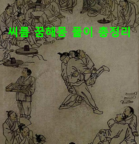 씨름 꿈해몽 풀이 총정리