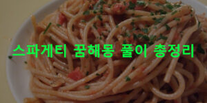 스파게티 꿈해몽 풀이 총정리