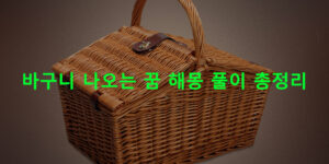 바구니 나오는 꿈 해몽 풀이 총정리
