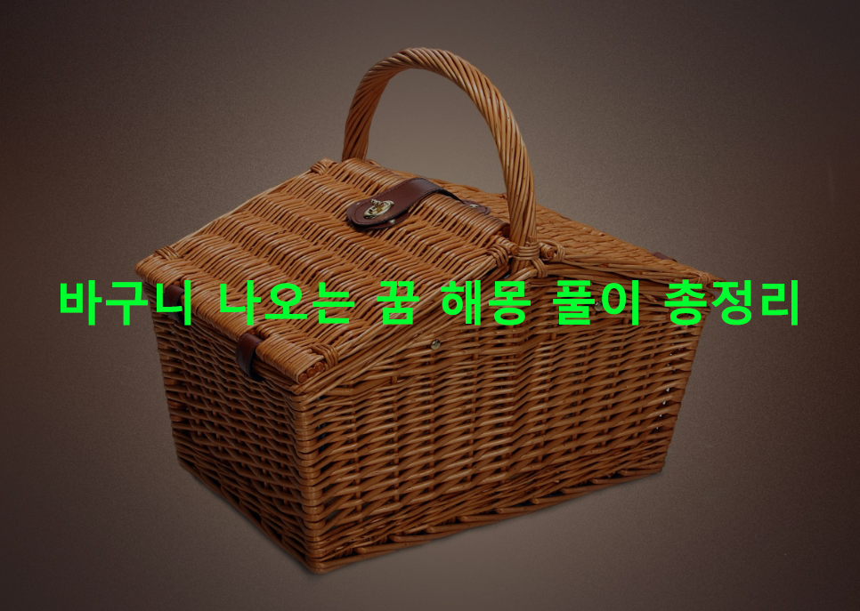 바구니 나오는 꿈 해몽 풀이 총정리