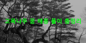 고목나무 꿈 해몽 풀이 총정리