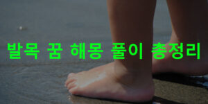 발목 꿈 해몽 풀이 총정리