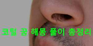 코털 꿈 해몽 풀이 총정리