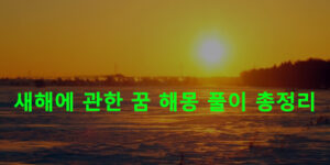 새해에 관한 꿈 해몽 풀이 총정리