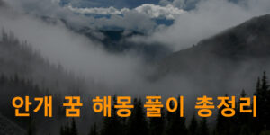 안개 꿈 해몽 풀이 총정리
